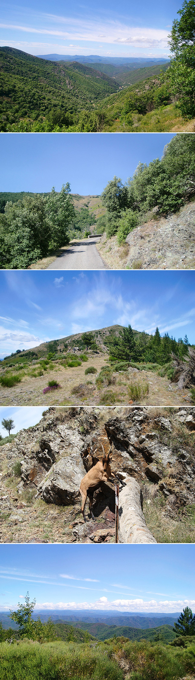 Col d' asclier