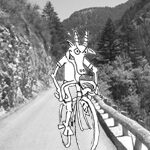 Read more about the article Col de la Cayolle