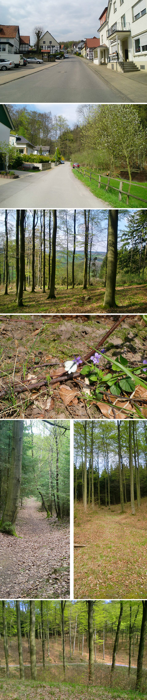 Wandern in Lippe - Herlingsburg