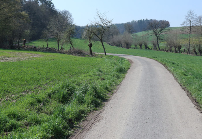 Lichtung-Radweg-silixen