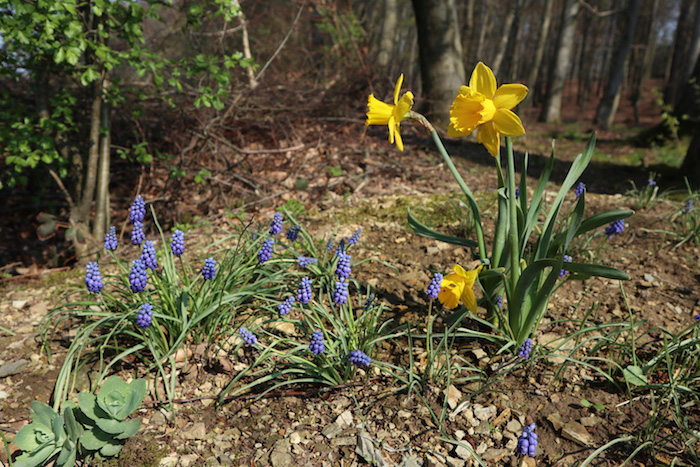 WANDERN-IN-DER-NATUR-LIPPE