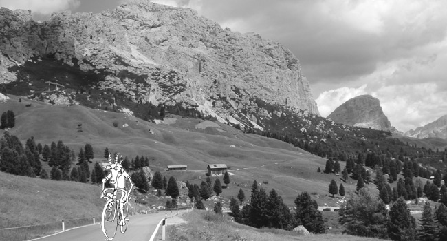 bergziege-auf-der-sella-run