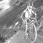 Read more about the article Col du Galibier