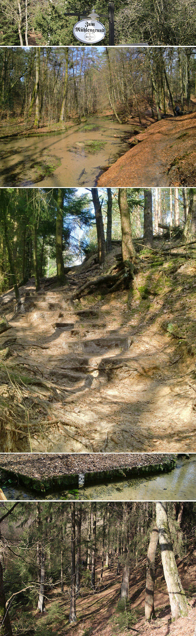 Wandern im Furlbachtal