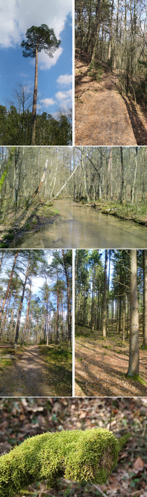 Wandern in OWL Durch das Furlbachtal Wandern in OWL Durch das Furlbachtal