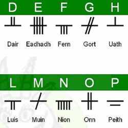 Read more about the article Ogham Alphabet