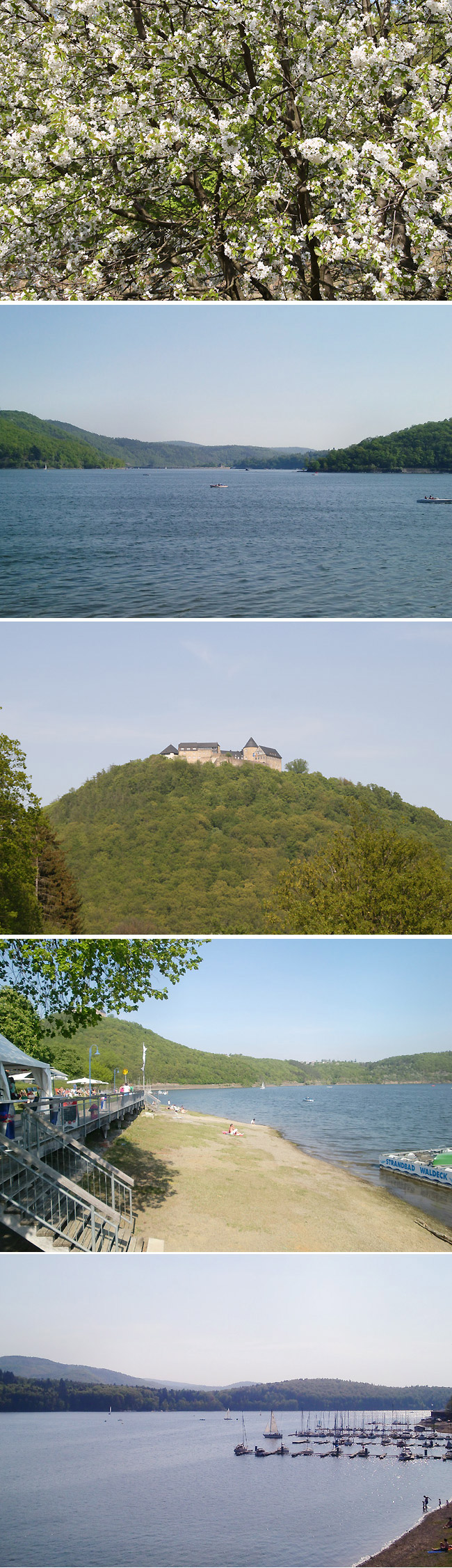 Urwaldsteig und Edersee