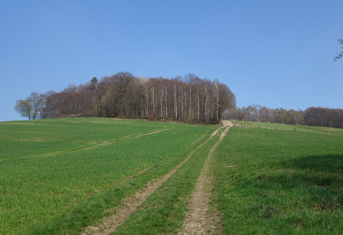 wiese-vor-dem-Familienplatz