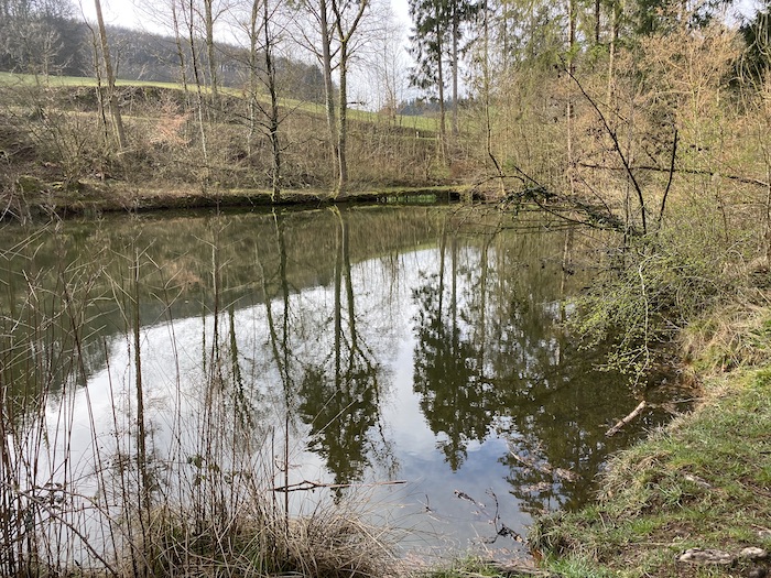 Fischteiche