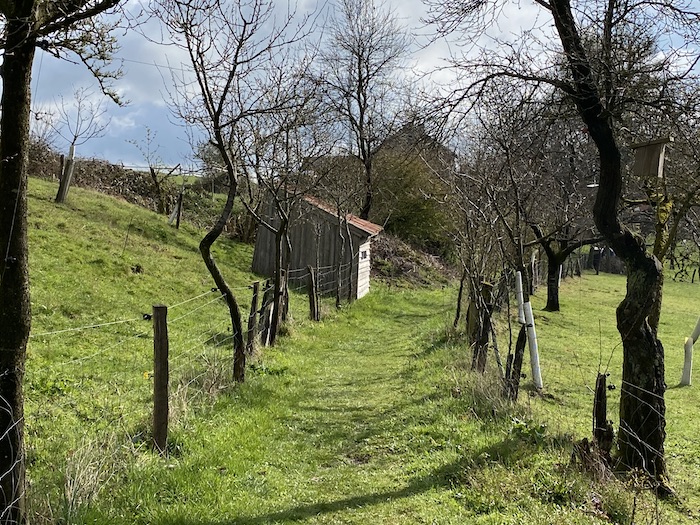 Waldfreundeweg Bavenhausen