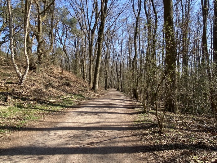 idyllischer radweg naehe mardorf