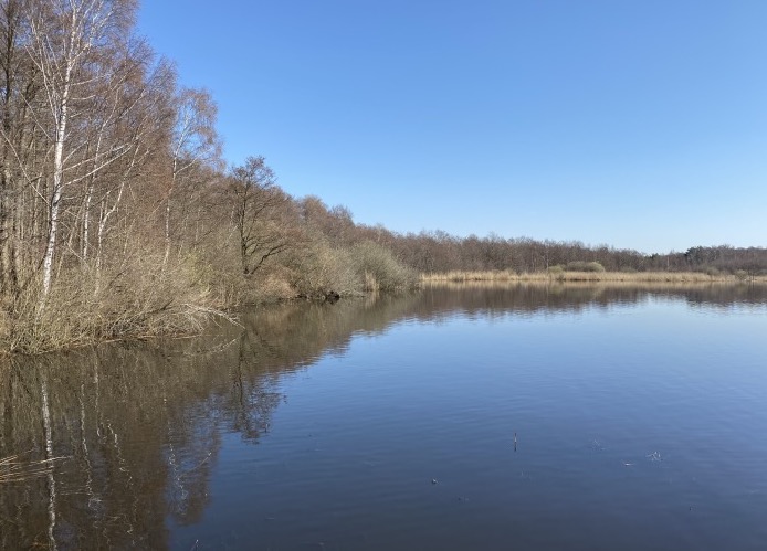 Naturschutzgebiet mit Moor