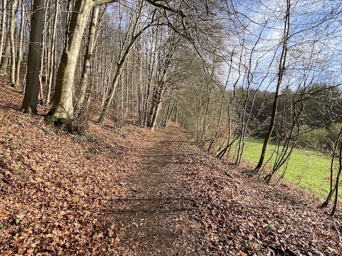 ruhige Waldwege