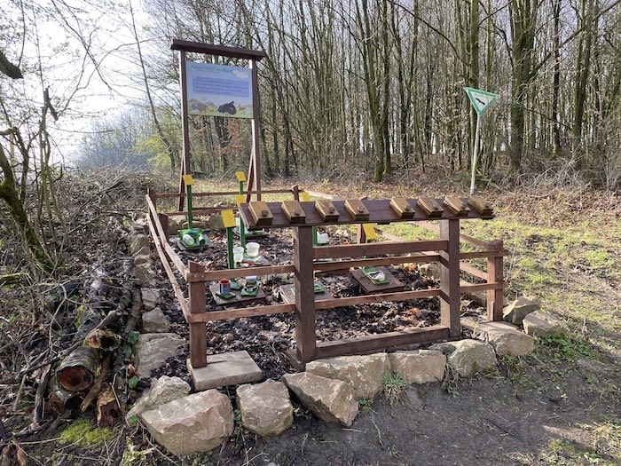 Waldprojekt Umwelt