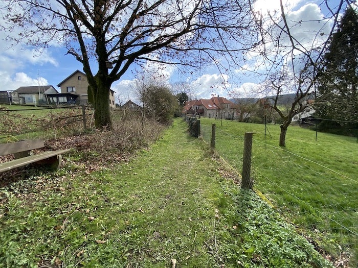 Wegführung zur Mühle