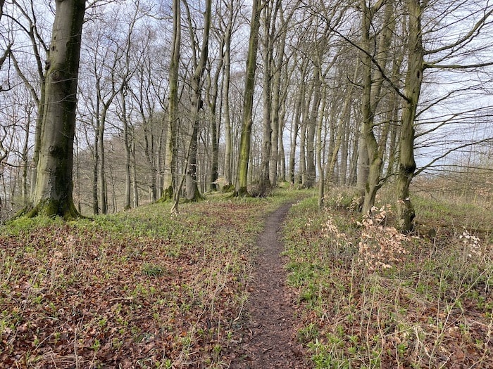 Waldweg