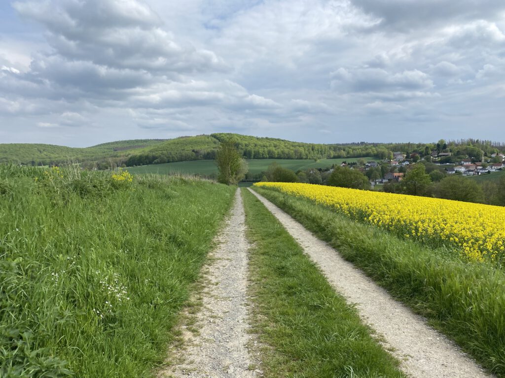 Biotopeweg