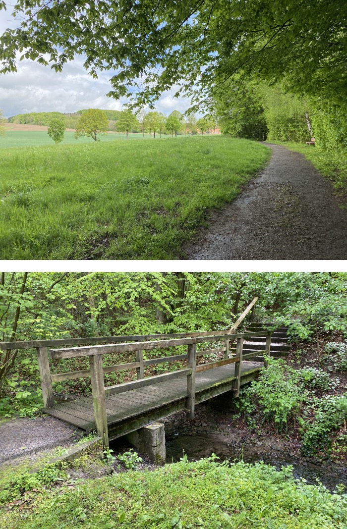 rund um die Pottkuhle; wandern Dörentrup,wandern Schwelentrup,wandern pottkuhle,biotop schwelentrup,biotop dörentrup